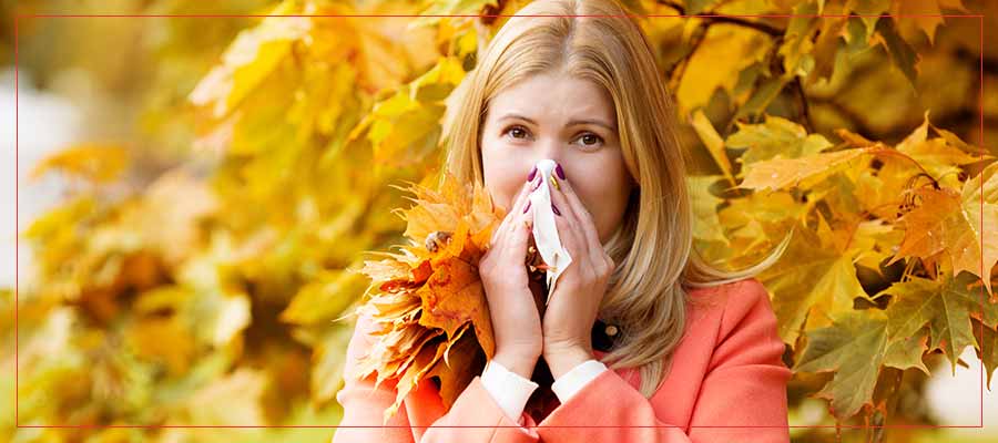 What to Know About the 2021–2022 Flu Season in Sarasota, FL