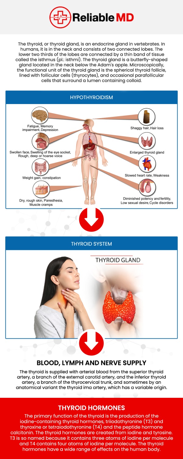 Thyroid Disorder Management in Sarasota, FL