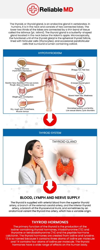 Thyroid Disorder Management in Sarasota, FL